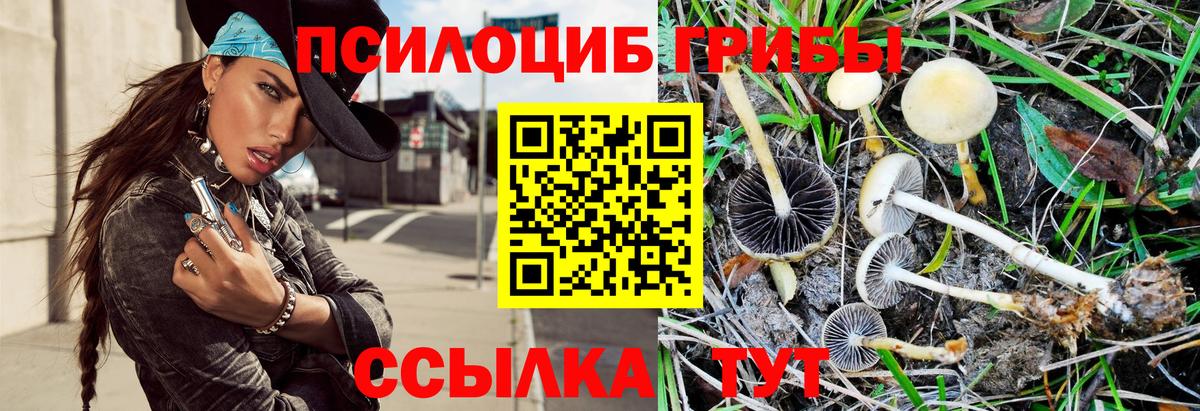 Торжок  Псилоцибиновые грибы мухоморы  Вход с VPN 